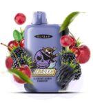 elf-bar-gh-23000-chornytsia-vyshnia-zhuravlyna-blueberry-cherry-cranberry-74202764250175[1]
