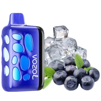 Одноразка Vozol Rave Blueberry Ice (Чорниця Лід) 40000