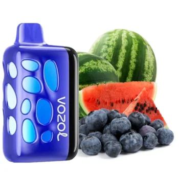 Одноразка Vozol Rave Blueberry Watermelon (Чорниця Кавун) 40000