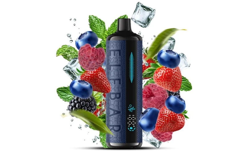 elf_bar_12000_berry_mint-800x534-1.webp
