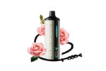 elf_bar_12000_paan_rose
