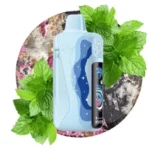 Одноразка Elf Bar Lush King Pro - Mountain Mint (Гірська М'ята) 40000