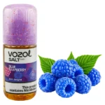 solevaya-zhidkost-vozol-salt-prime-blue-raspberry-sinyaya-malina-30-ml-50-mg.webp