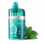 odnorazka-elf-bar-ebcreate-bc-pro-black-mint-tyomnaya-myata-40000.webp