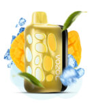 Vozol_Rave40000_MangoIce копія